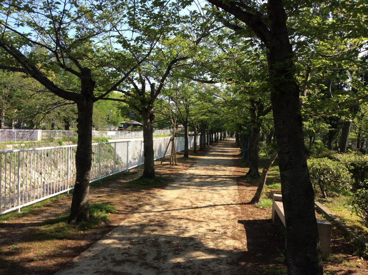 妙法寺川公園