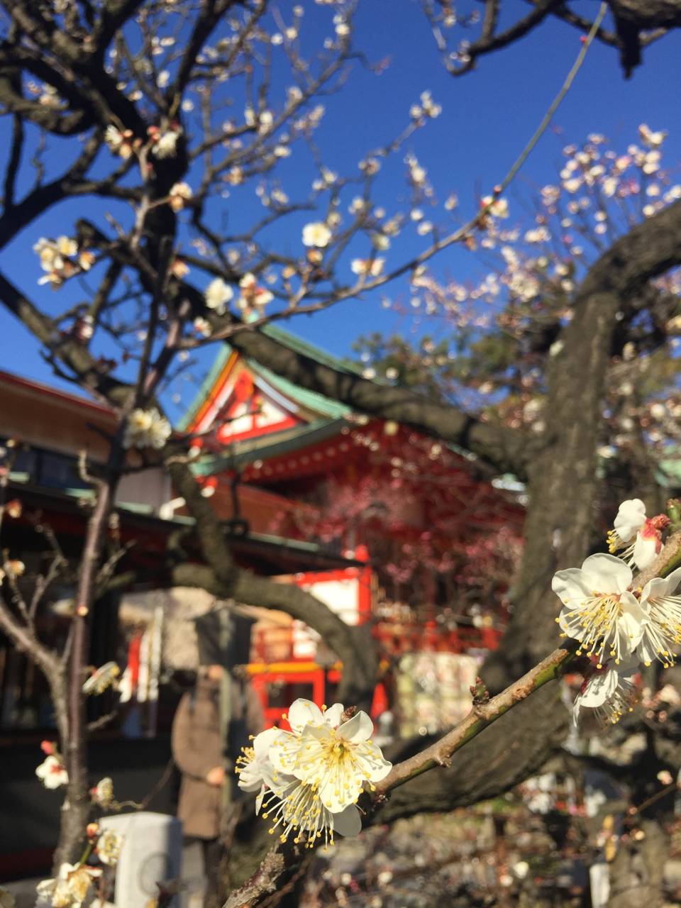 綱敷天満宮