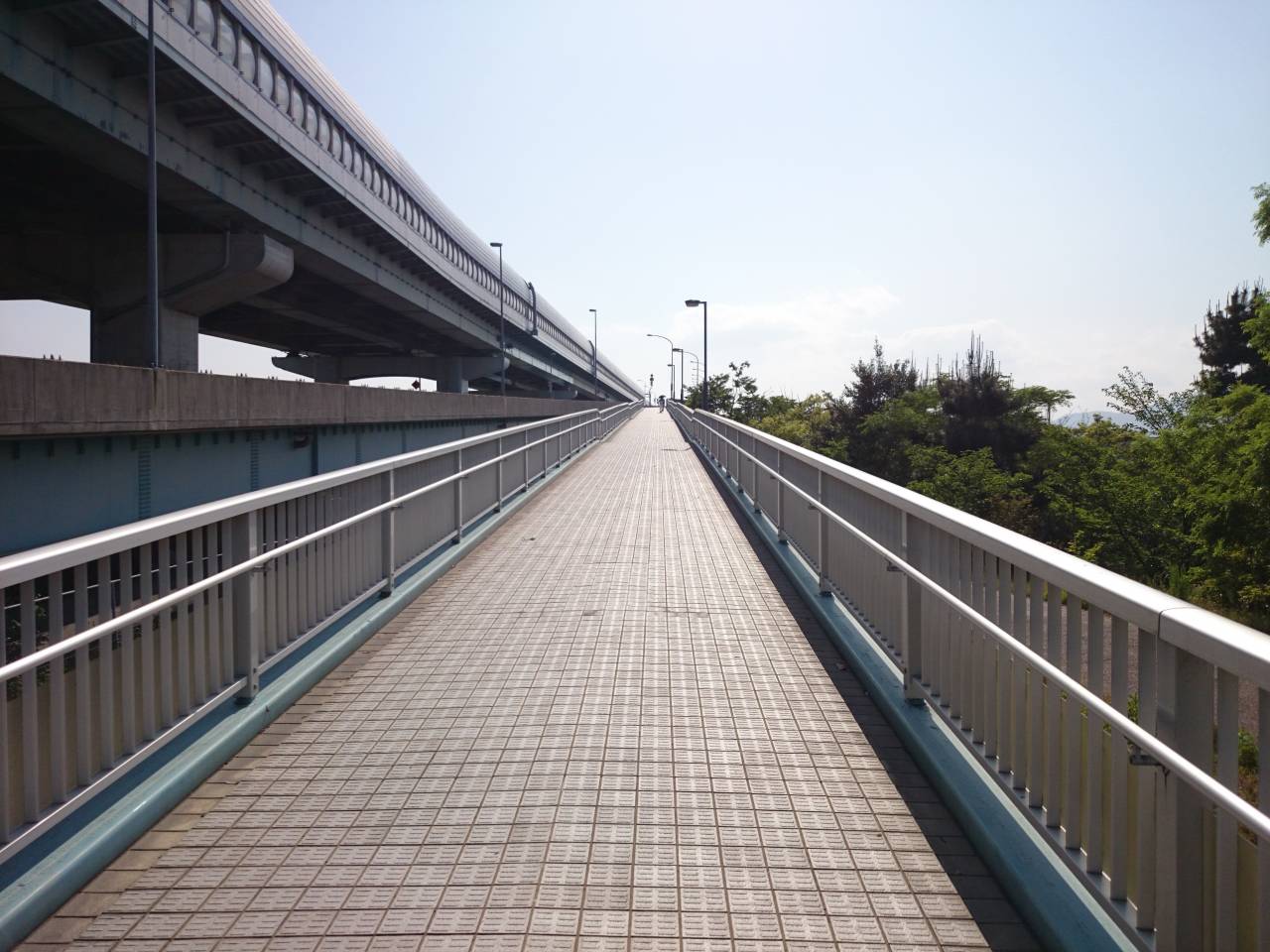 潮風大橋