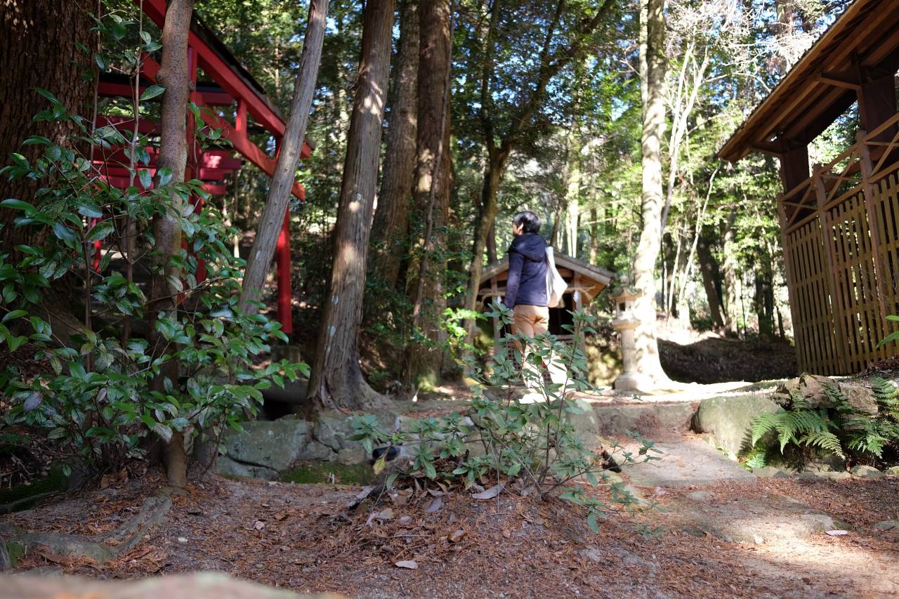 多太神社の森