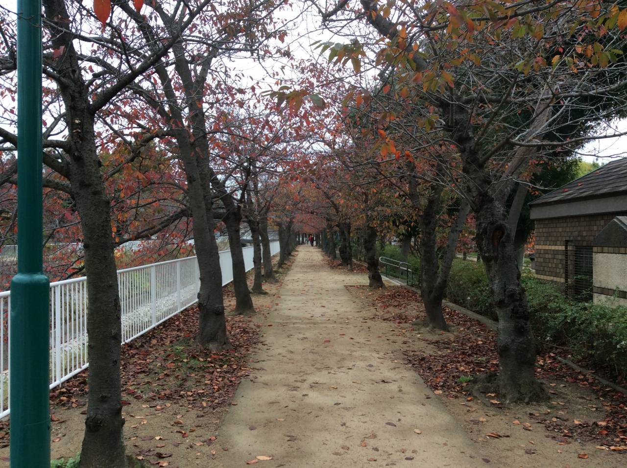 妙法寺川公園