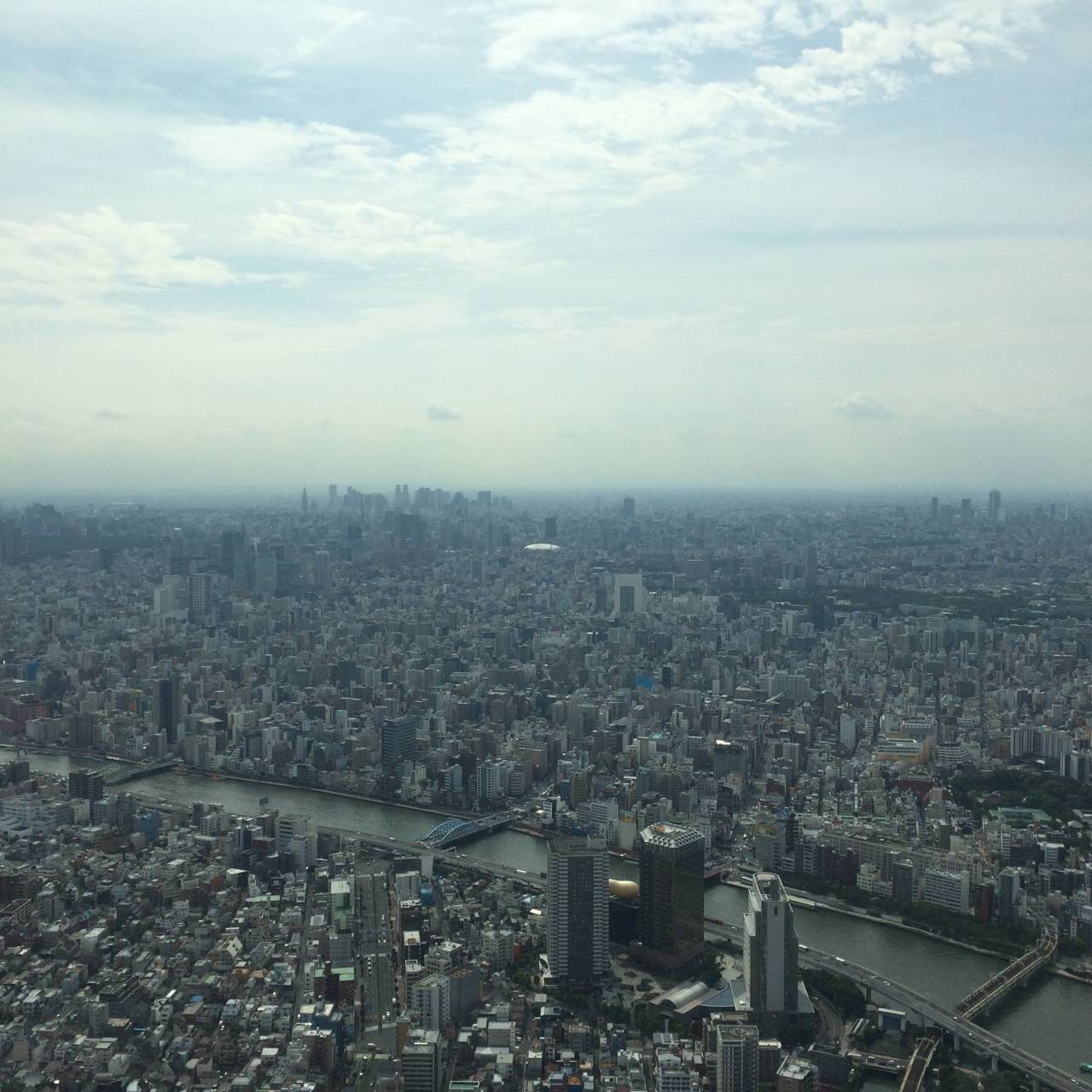 東京スカイツリーと神戸ポートタワー