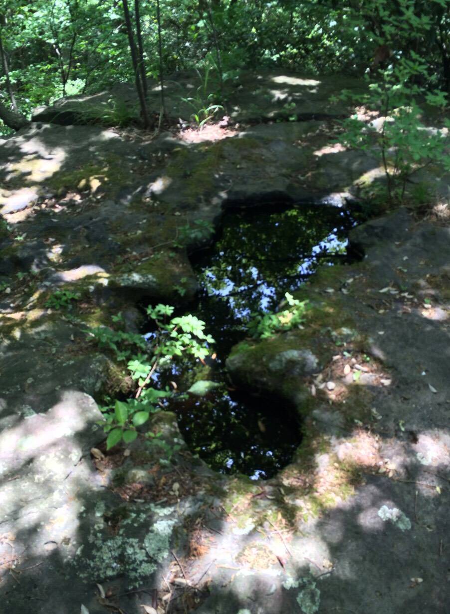 白川の夫婦岩