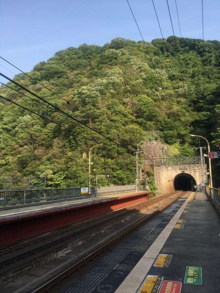 【北摂里山】トンネルを抜けるとそこは…【桜の園】