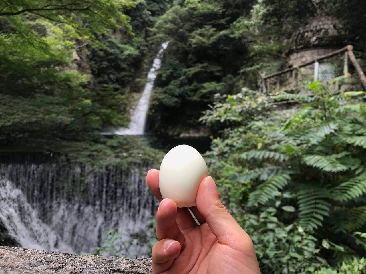 【第3回】神戸散歩飯 - 布引の滝