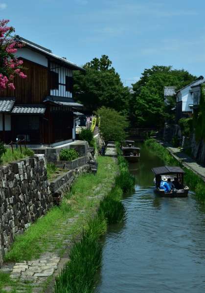 夏の想い出