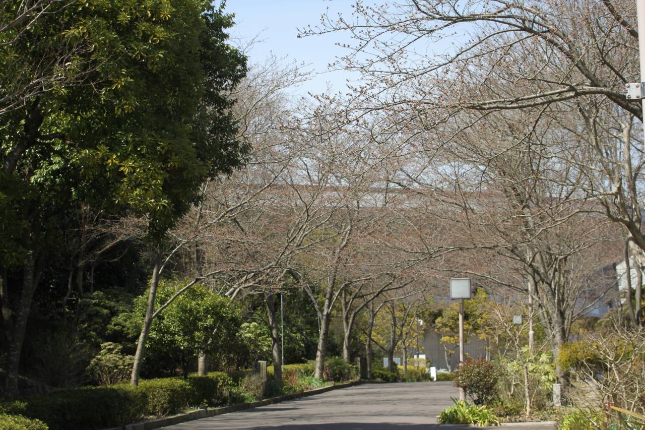 神戸総合運動公園