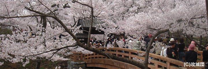 高遠城の写真