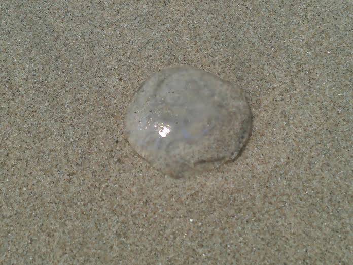 須磨海水浴場