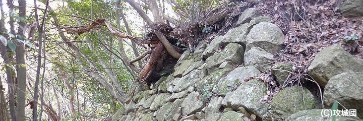 宇佐山城の写真