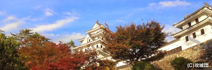 郡上八幡城の写真