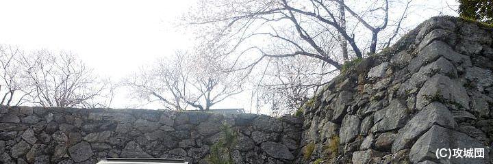 田丸城の写真