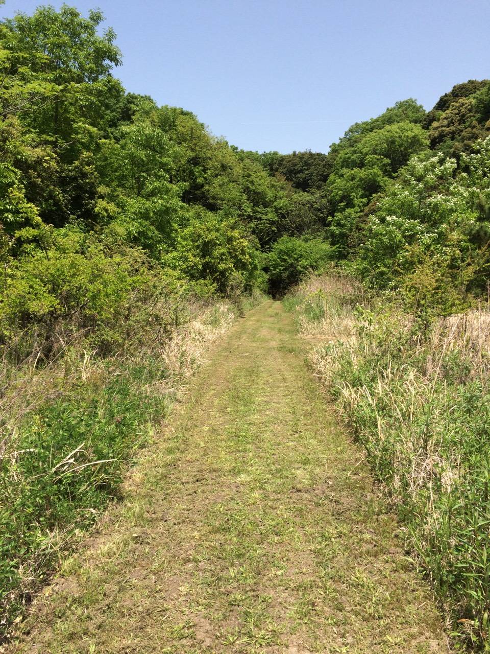 白川の夫婦岩