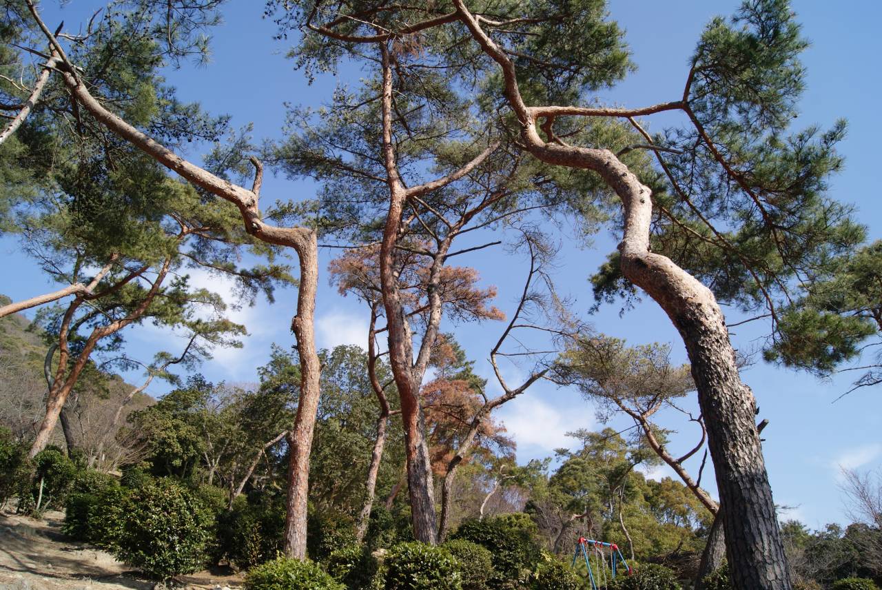 須磨浦公園