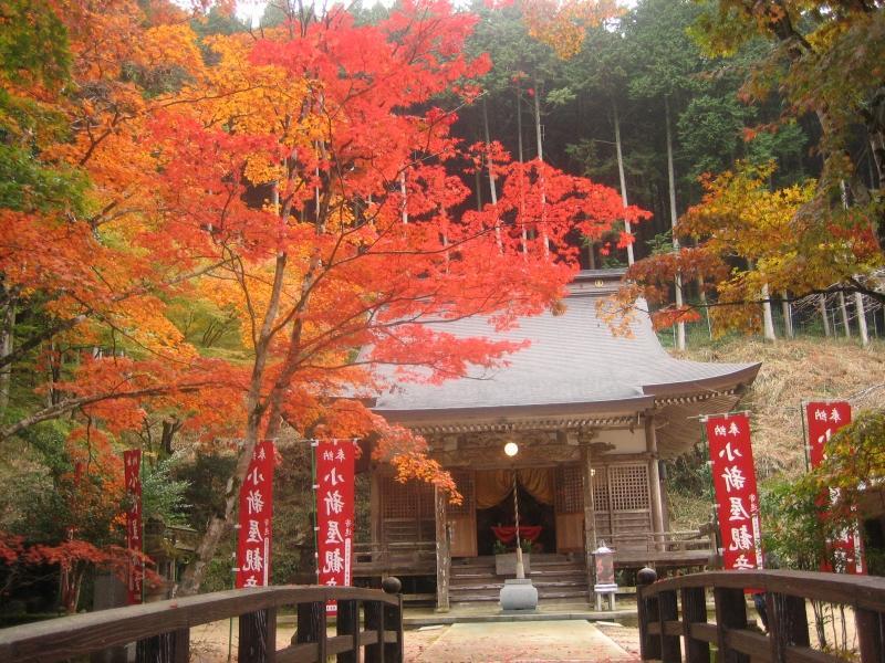 小新屋観音の写真