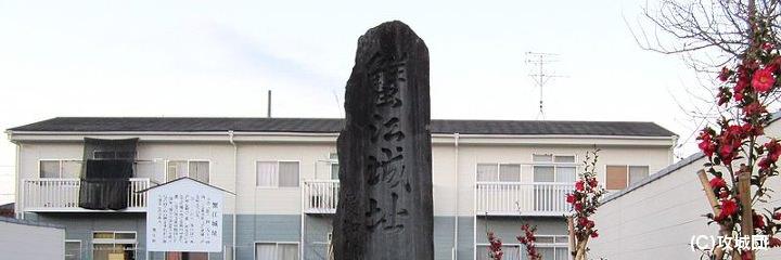 蟹江城の写真